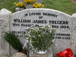 William James Tregear