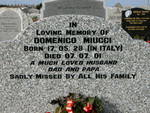 Domenico Miucci