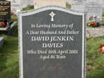 David Jenkin Davies