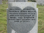 Terence James Wallis